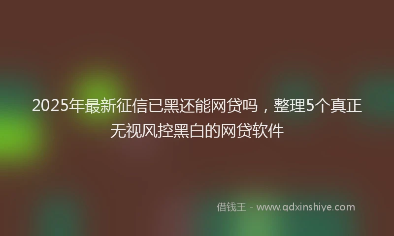 2025年最新征信已黑还能网贷吗，整理5个真正无视风控黑白的网贷软件