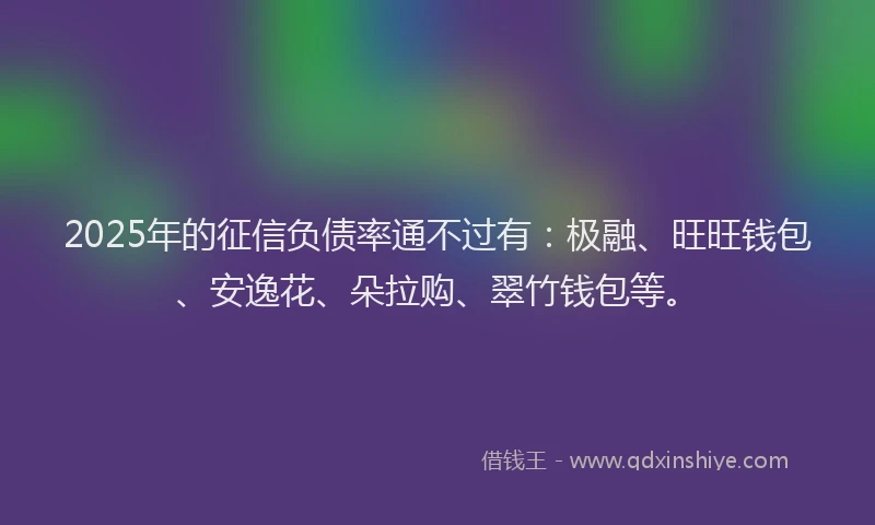 2025年的征信负债率通不过有：极融、旺旺钱包、安逸花、朵拉购、翠竹钱包等。