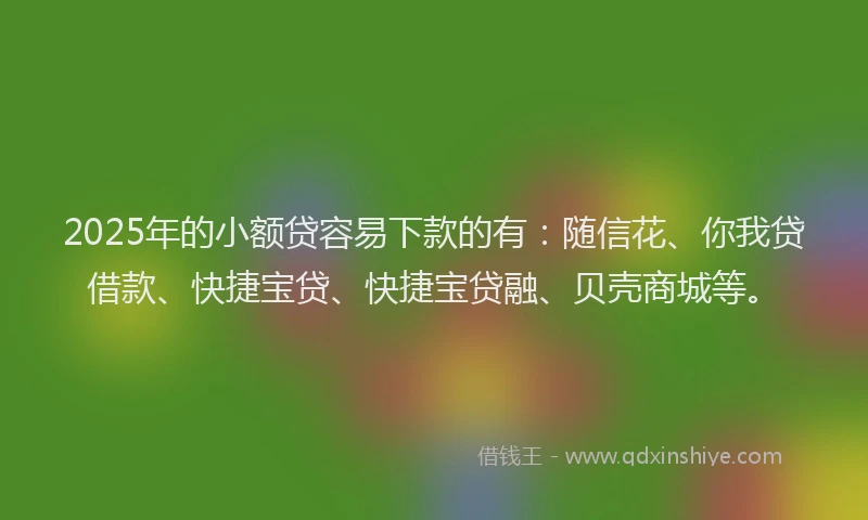 2025年的小额贷容易下款的有：随信花、你我贷借款、快捷宝贷、快捷宝贷融、贝壳商城等。