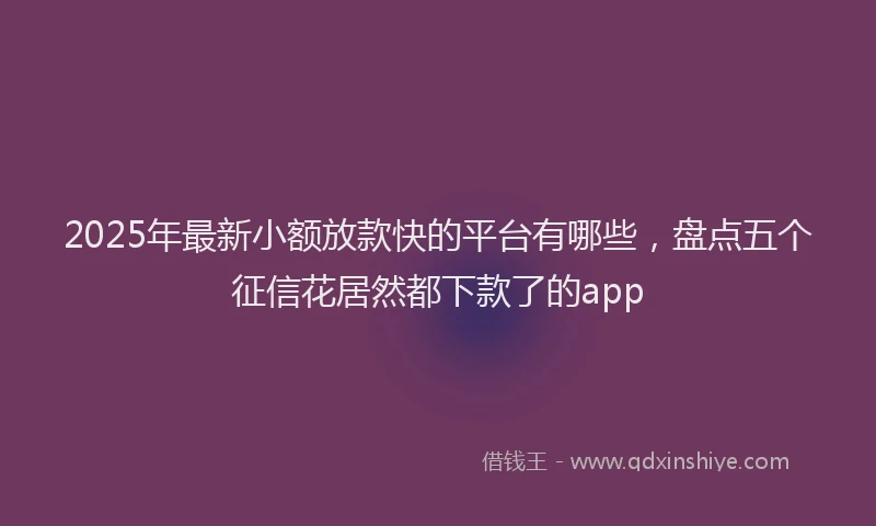 2025年最新小额放款快的平台有哪些，盘点五个征信花居然都下款了的app