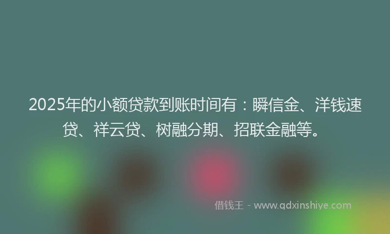 2025年的小额贷款到账时间有：瞬信金、洋钱速贷、祥云贷、树融分期、招联金融等。