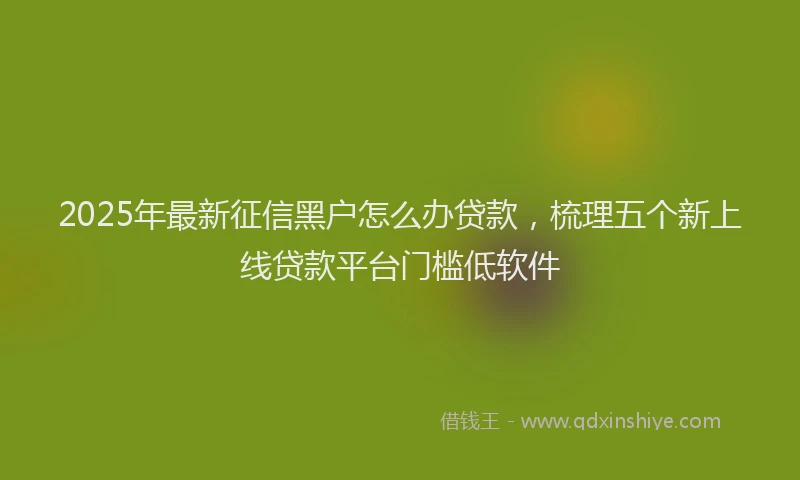 2025年最新征信黑户怎么办贷款，梳理五个新上线贷款平台门槛低软件