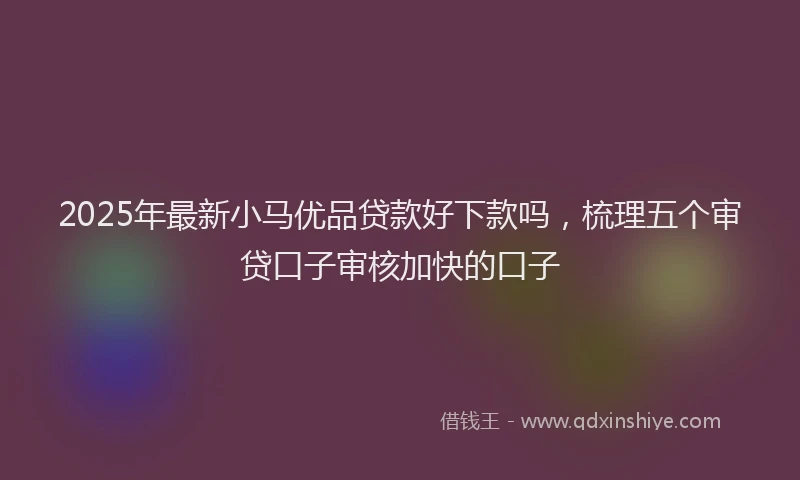 2025年最新小马优品贷款好下款吗，梳理五个审贷口子审核加快的口子