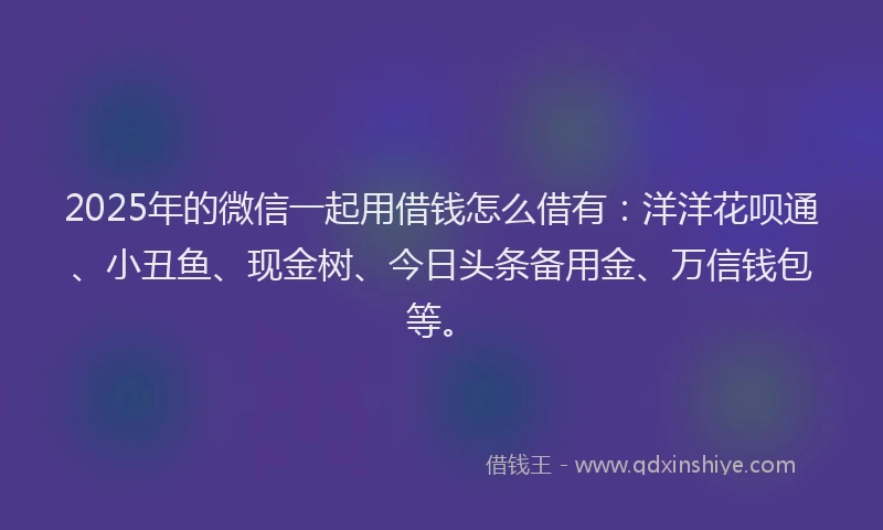 2025年的微信一起用借钱怎么借有：洋洋花呗通、小丑鱼、现金树、今日头条备用金、万信钱包等。
