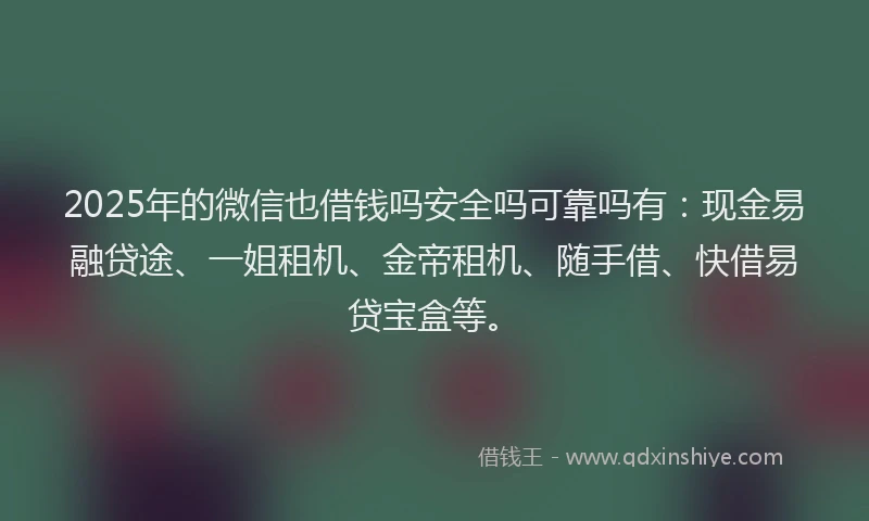 2025年的微信也借钱吗安全吗可靠吗有：现金易融贷途、一姐租机、金帝租机、随手借、快借易贷宝盒等。