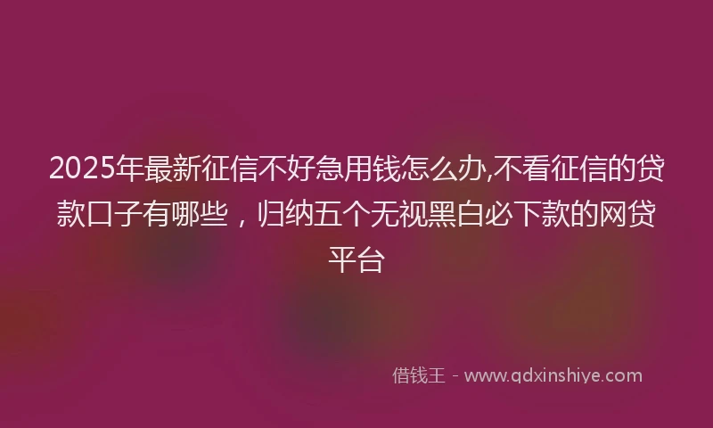 2025年最新征信不好急用钱怎么办,不看征信的贷款口子有哪些，归纳五个无视黑白必下款的网贷平台