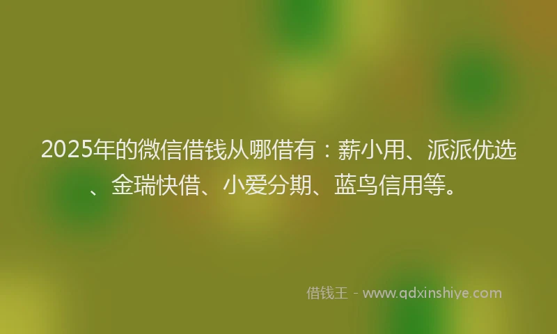 2025年的微信借钱从哪借有：薪小用、派派优选、金瑞快借、小爱分期、蓝鸟信用等。