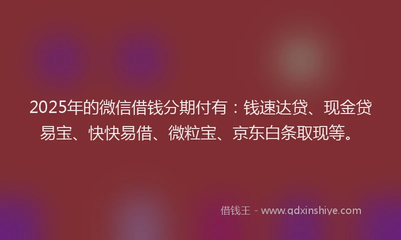 2025年的微信借钱分期付有：钱速达贷、现金贷易宝、快快易借、微粒宝、京东白条取现等。