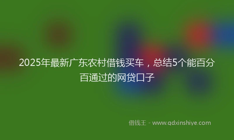 2025年最新广东农村借钱买车，总结5个能百分百通过的网贷口子