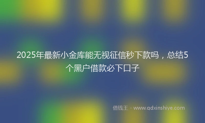 2025年最新小金库能无视征信秒下款吗，总结5个黑户借款必下口子