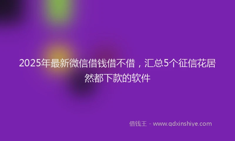 2025年最新微信借钱借不借，汇总5个征信花居然都下款的软件