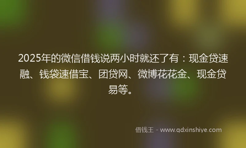 2025年的微信借钱说两小时就还了有：现金贷速融、钱袋速借宝、团贷网、微博花花金、现金贷易等。