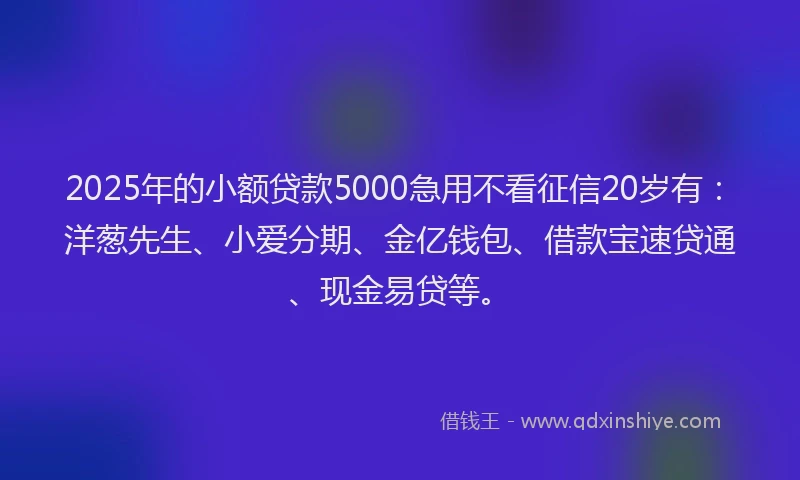 2025年的小额贷款5000急用不看征信20岁有：洋葱先生、小爱分期、金亿钱包、借款宝速贷通、现金易贷等。