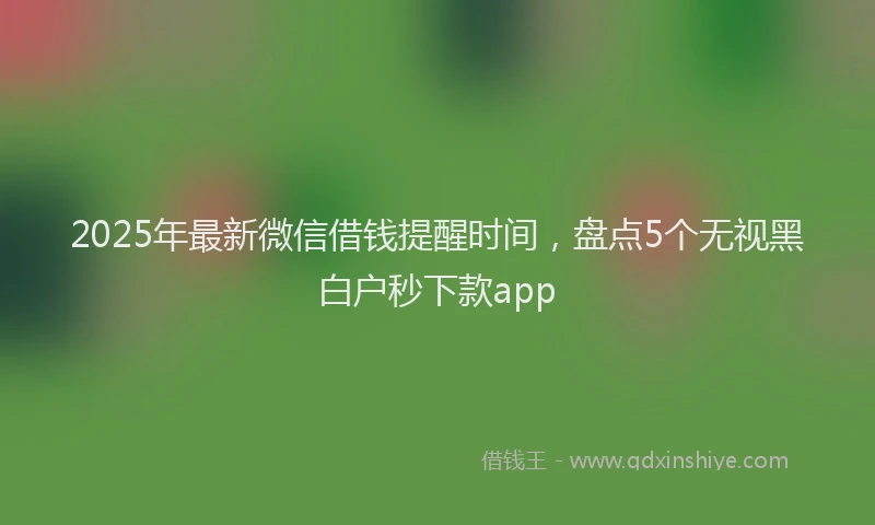 2025年最新微信借钱提醒时间，盘点5个无视黑白户秒下款app
