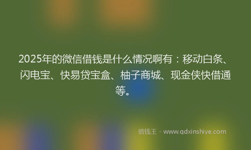 2025年的微信借钱是什么情况啊有：移动白条、闪电宝、快易贷宝盒、柚子商城、现金侠快借通等。