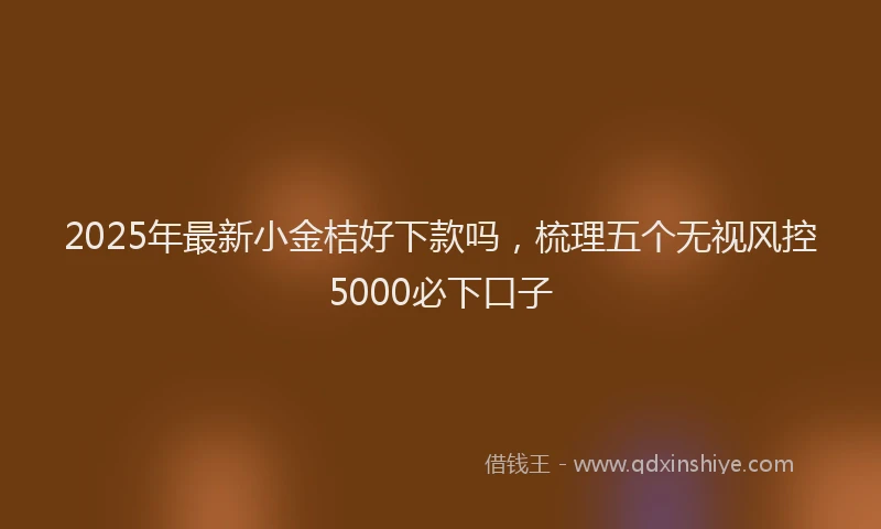 2025年最新小金桔好下款吗，梳理五个无视风控5000必下口子