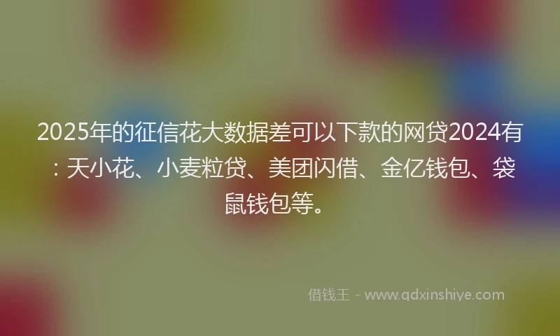 2025年的征信花大数据差可以下款的网贷2024有：天小花、小麦粒贷、美团闪借、金亿钱包、袋鼠钱包等。