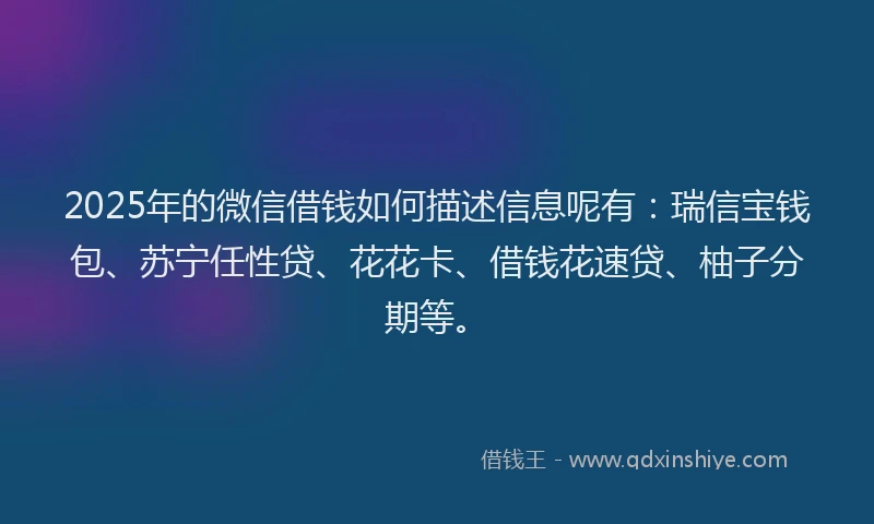 2025年的微信借钱如何描述信息呢有：瑞信宝钱包、苏宁任性贷、花花卡、借钱花速贷、柚子分期等。