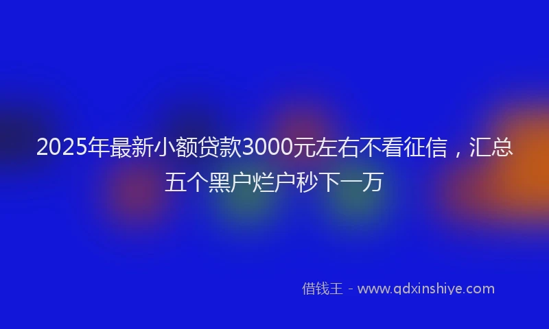 2025年最新小额贷款3000元左右不看征信，汇总五个黑户烂户秒下一万
