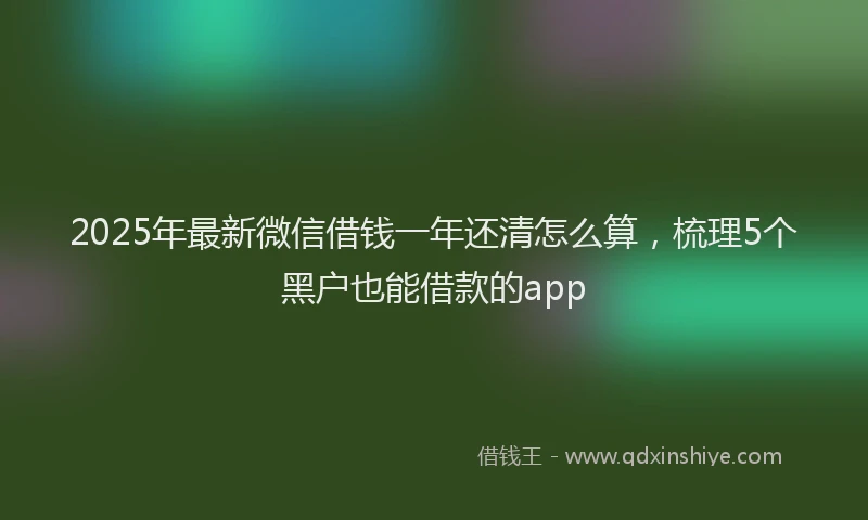 2025年最新微信借钱一年还清怎么算，梳理5个黑户也能借款的app