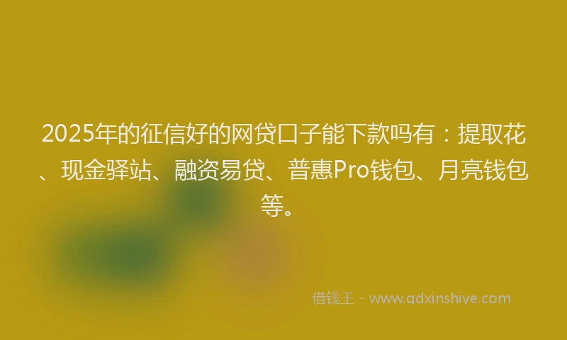 2025年的征信好的网贷口子能下款吗有：提取花、现金驿站、融资易贷、普惠Pro钱包、月亮钱包等。