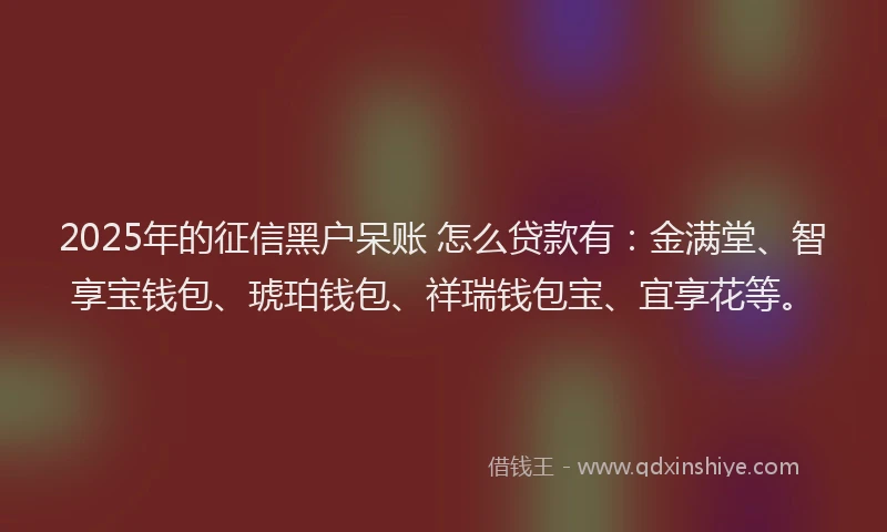 2025年的征信黑户呆账 怎么贷款有：金满堂、智享宝钱包、琥珀钱包、祥瑞钱包宝、宜享花等。