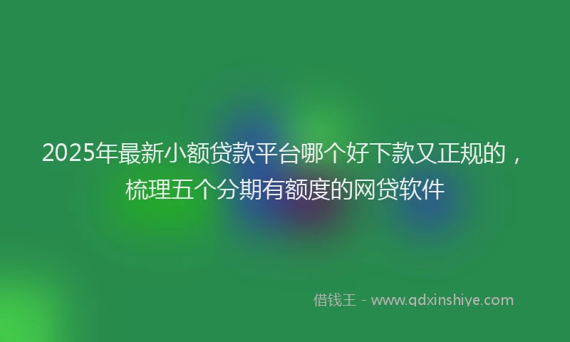 2025年最新小额贷款平台哪个好下款又正规的，梳理五个分期有额度的网贷软件