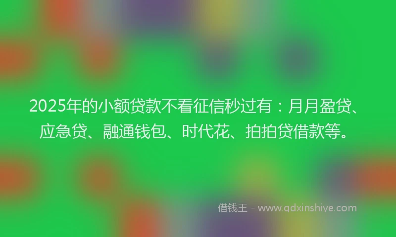 2025年的小额贷款不看征信秒过有：月月盈贷、应急贷、融通钱包、时代花、拍拍贷借款等。