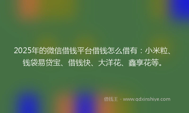 2025年的微信借钱平台借钱怎么借有：小米粒、钱袋易贷宝、借钱快、大洋花、鑫享花等。