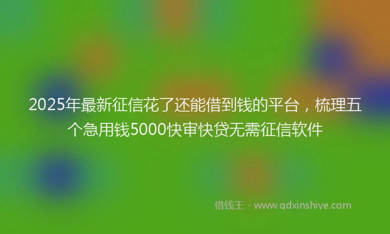 2025年最新征信花了还能借到钱的平台，梳理五个急用钱5000快审快贷无需征信软件