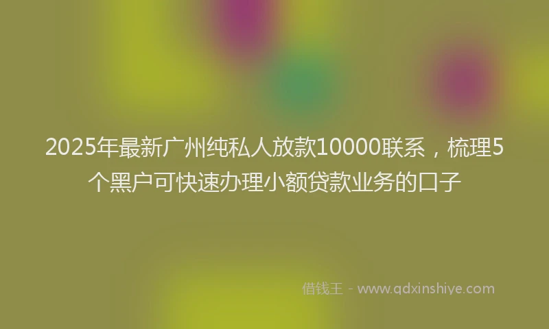 2025年最新广州纯私人放款10000联系，梳理5个黑户可快速办理小额贷款业务的口子