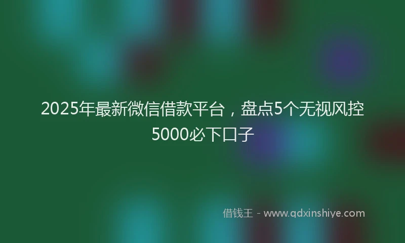 2025年最新微信借款平台，盘点5个无视风控5000必下口子