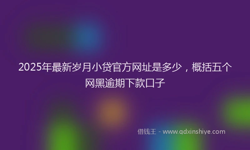 2025年最新岁月小贷官方网址是多少，概括五个网黑逾期下款口子