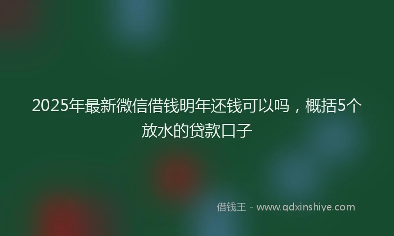 2025年最新微信借钱明年还钱可以吗，概括5个放水的贷款口子