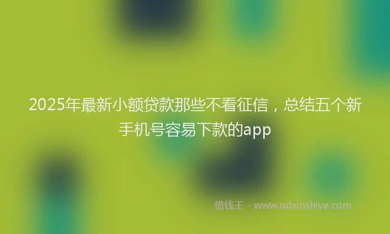 2025年最新小额贷款那些不看征信，总结五个新手机号容易下款的app