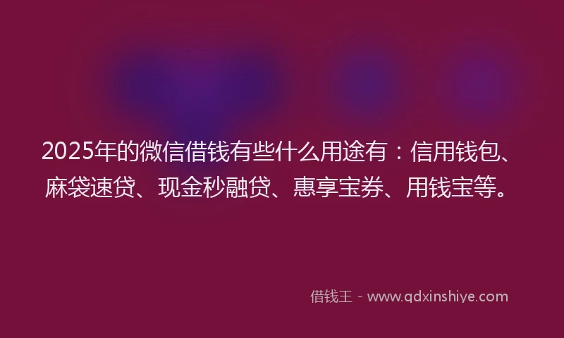 2025年的微信借钱有些什么用途有：信用钱包、麻袋速贷、现金秒融贷、惠享宝券、用钱宝等。