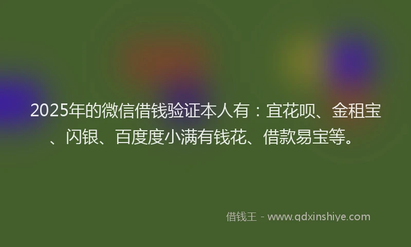 2025年的微信借钱验证本人有：宜花呗、金租宝、闪银、百度度小满有钱花、借款易宝等。