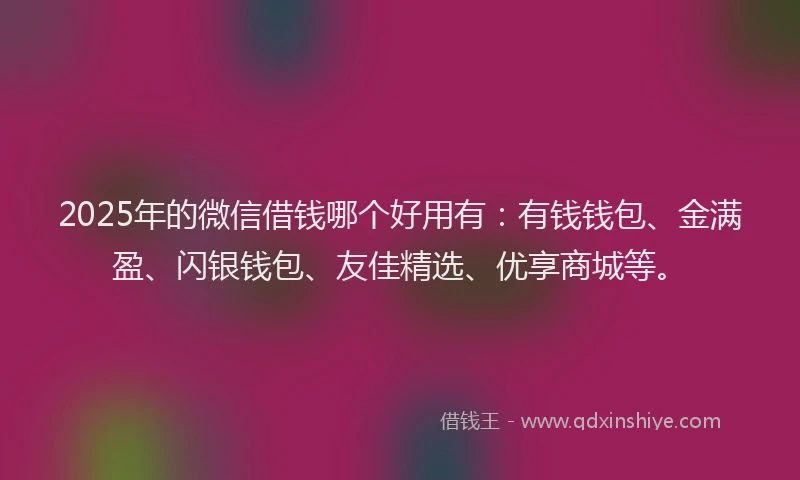 2025年的微信借钱哪个好用有：有钱钱包、金满盈、闪银钱包、友佳精选、优享商城等。