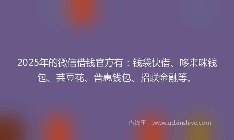 2025年的微信借钱官方有：钱袋快借、哆来咪钱包、芸豆花、普惠钱包、招联金融等。