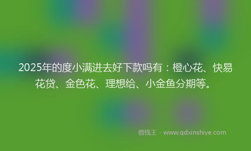 2025年的度小满进去好下款吗有：橙心花、快易花贷、金色花、理想给、小金鱼分期等。