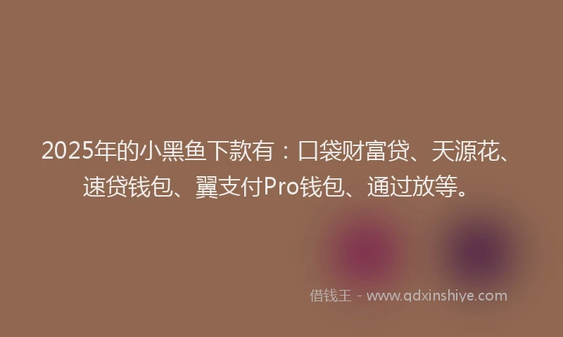 2025年的小黑鱼下款有：口袋财富贷、天源花、速贷钱包、翼支付Pro钱包、通过放等。