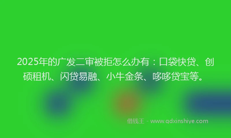 2025年的广发二审被拒怎么办有：口袋快贷、创硕租机、闪贷易融、小牛金条、哆哆贷宝等。