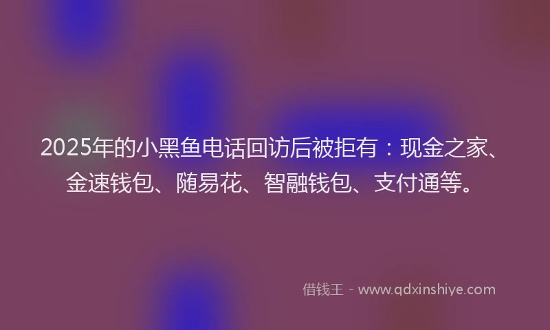 2025年的小黑鱼电话回访后被拒有：现金之家、金速钱包、随易花、智融钱包、支付通等。