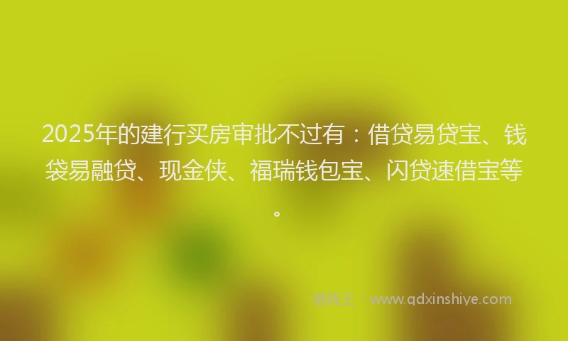2025年的建行买房审批不过有：借贷易贷宝、钱袋易融贷、现金侠、福瑞钱包宝、闪贷速借宝等。
