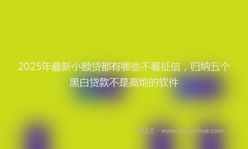 2025年最新小额贷都有哪些不看征信，归纳五个黑白贷款不是高炮的软件