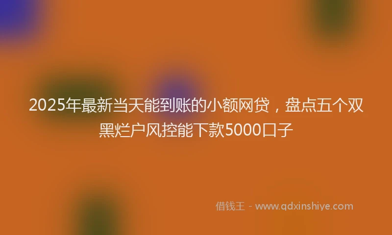 2025年最新当天能到账的小额网贷，盘点五个双黑烂户风控能下款5000口子
