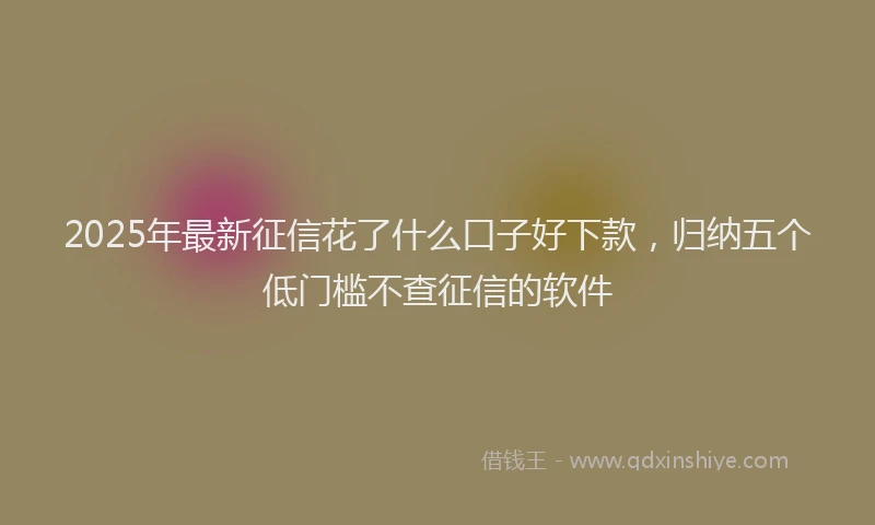 2025年最新征信花了什么口子好下款，归纳五个低门槛不查征信的软件
