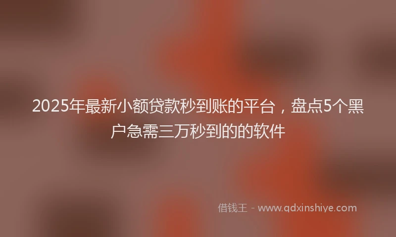 2025年最新小额贷款秒到账的平台，盘点5个黑户急需三万秒到的的软件
