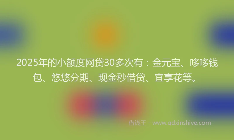 2025年的小额度网贷30多次有：金元宝、哆哆钱包、悠悠分期、现金秒借贷、宜享花等。