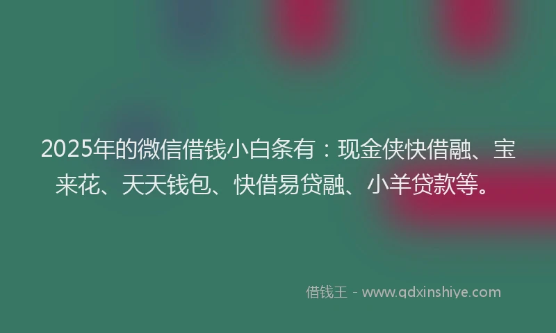 2025年的微信借钱小白条有：现金侠快借融、宝来花、天天钱包、快借易贷融、小羊贷款等。